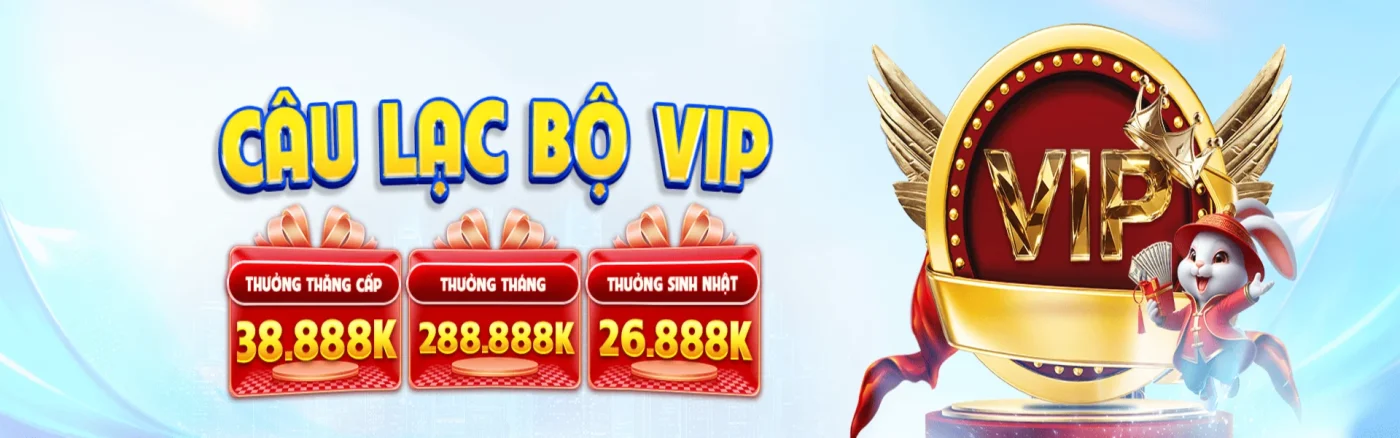 banner vipwin